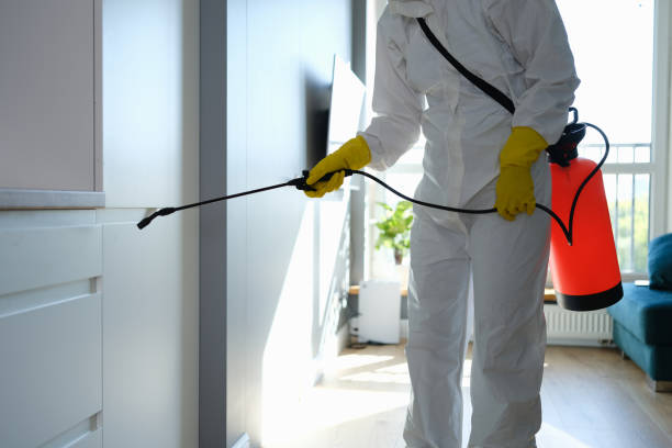 Best Mold Damage Restoration  in Oak Grove, KY