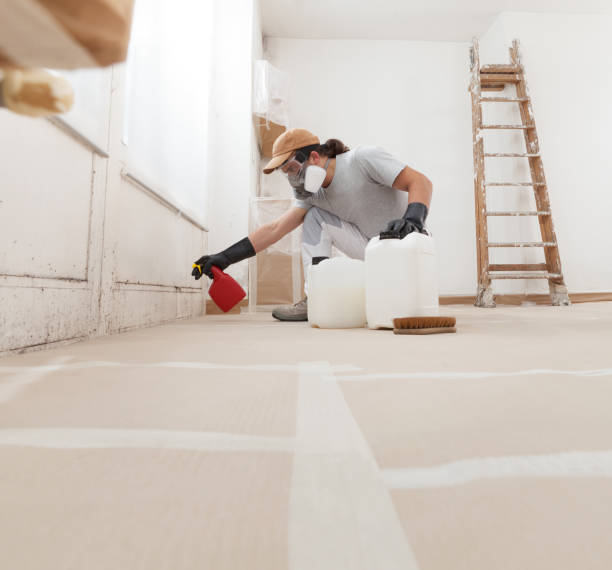 Best Industrial Mold Remediation  in Oak Grove, KY